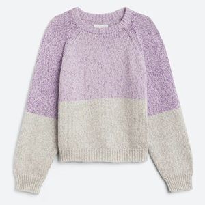 EUC Velvet by Graham and Spencer Skylar Crewneck Colorblock Purple Pullover
